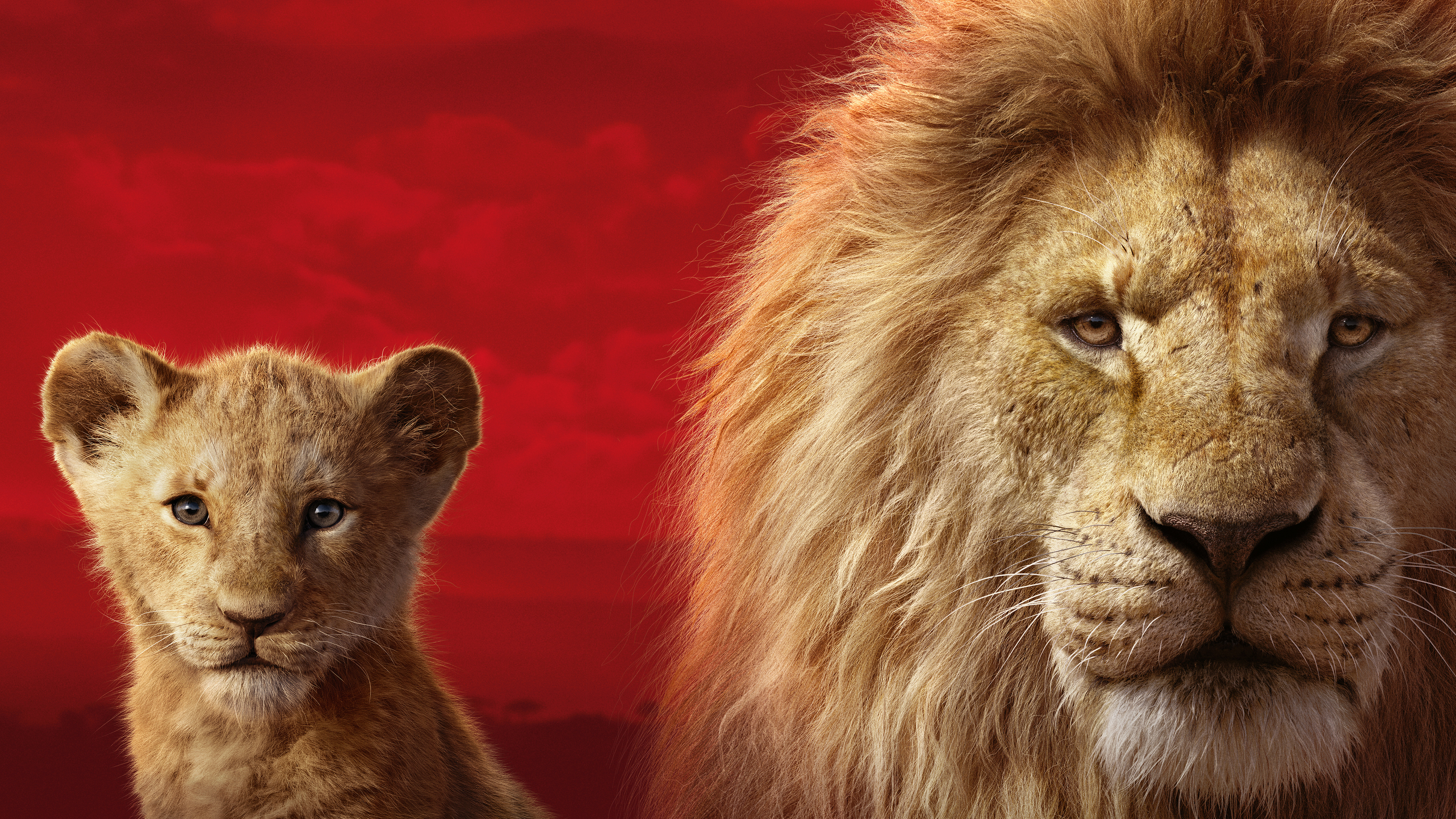 The Lion King (2019) Wallpapers