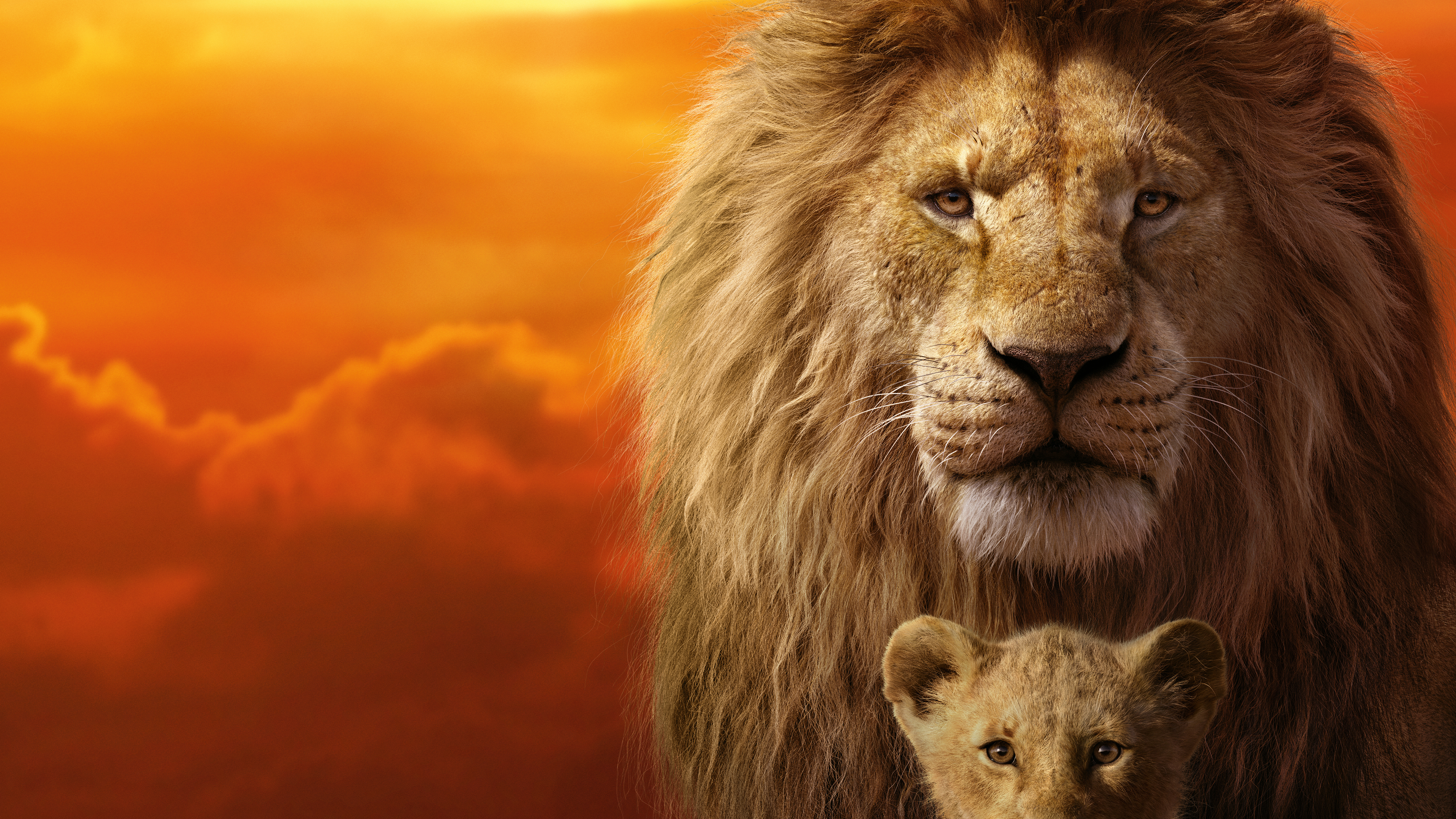 The Lion King 2019 Wallpapers