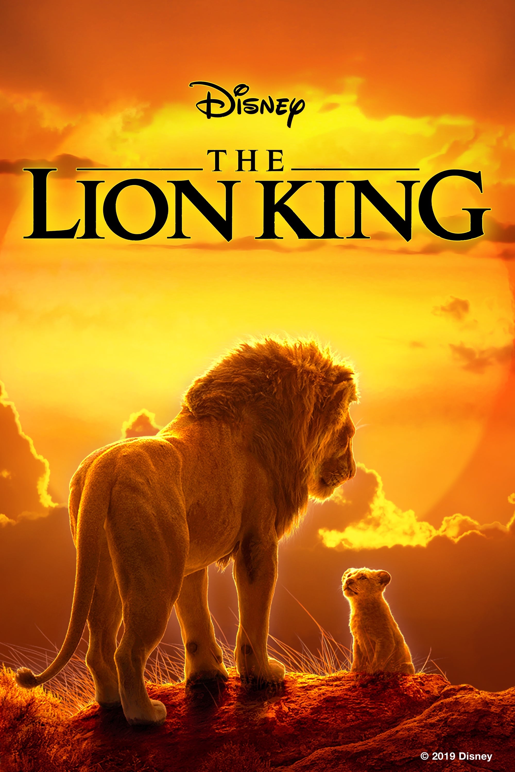 The Lion King 2019 Movie Wallpapers