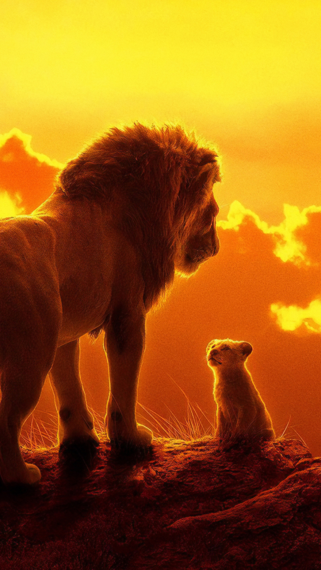 The Lion King 2019 Movie Wallpapers