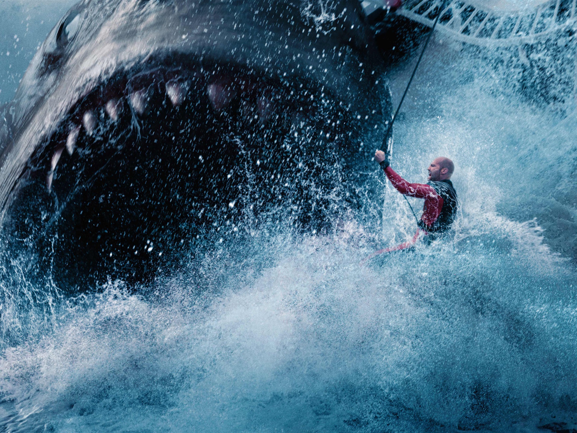 The Meg Wallpapers