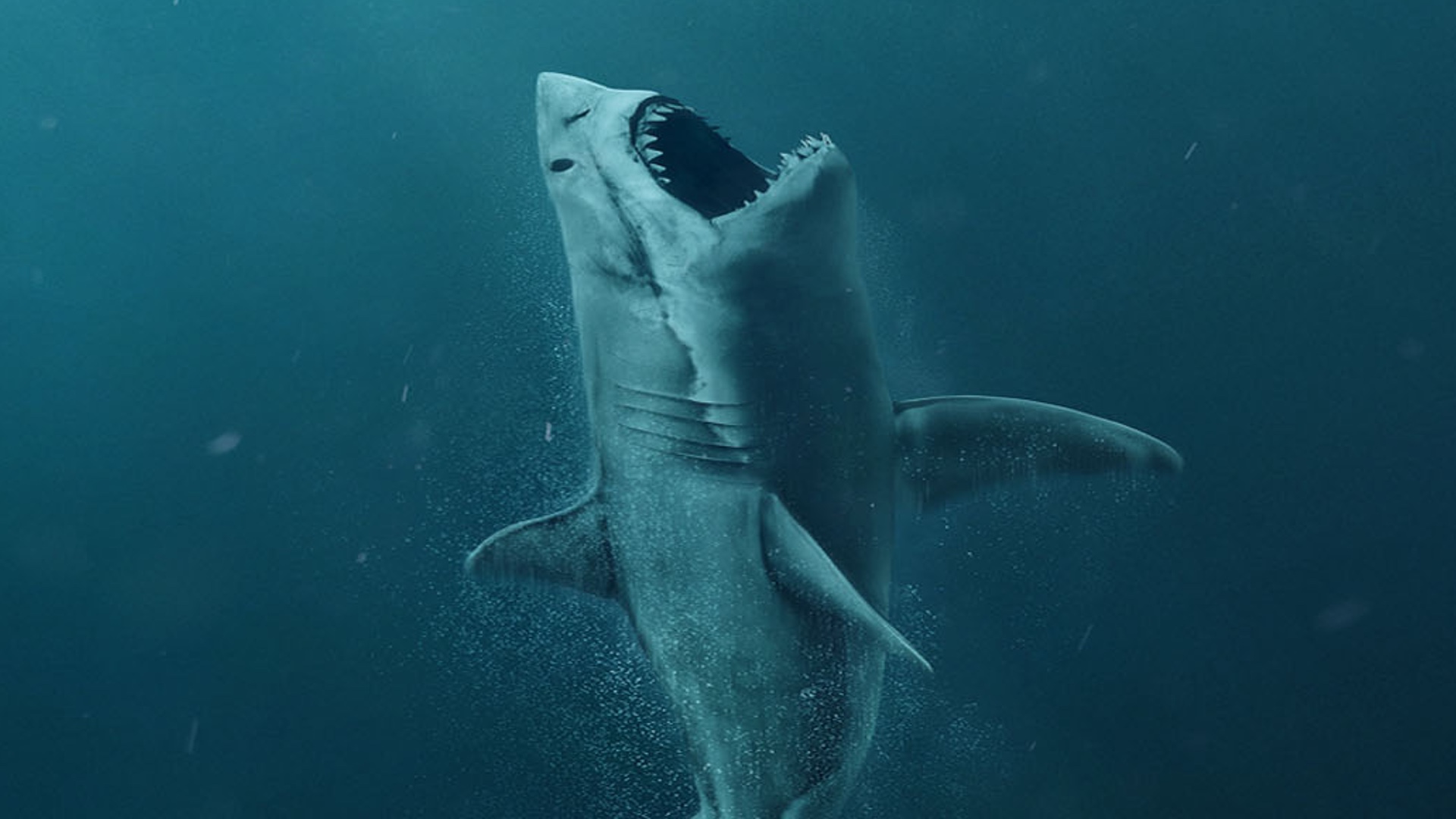 The Meg Sharks And Diver Poster Wallpapers