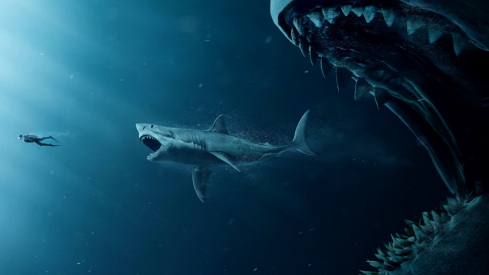 The Meg Sharks And Diver Poster Wallpapers