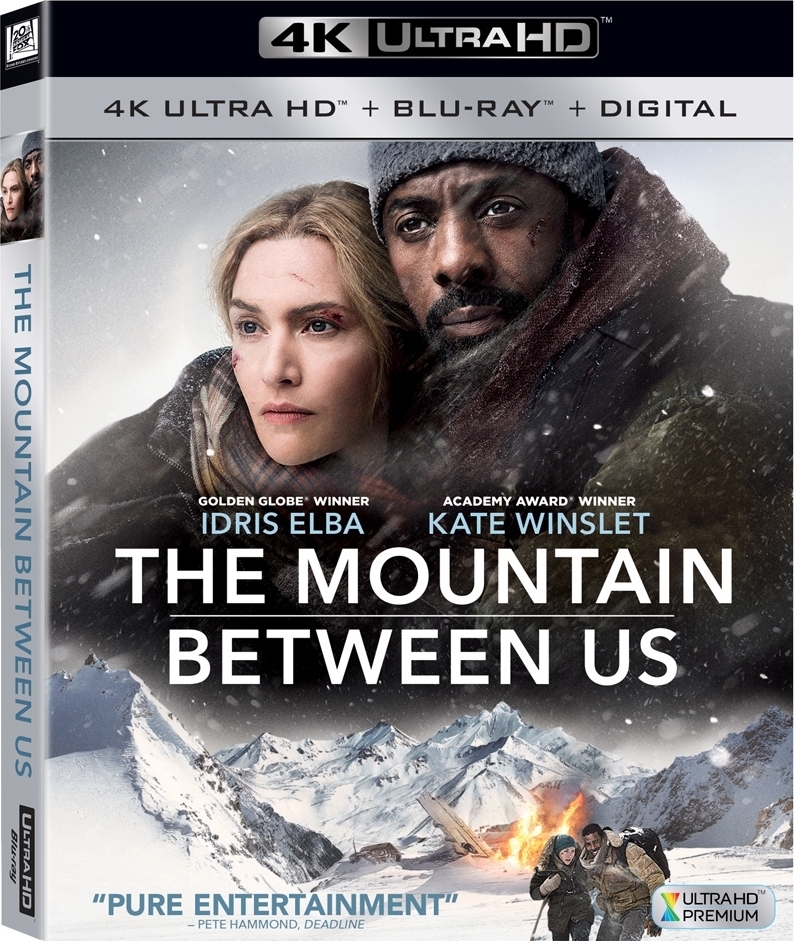 The Mountain Between Us Movie Poster 2017 Wallpapers