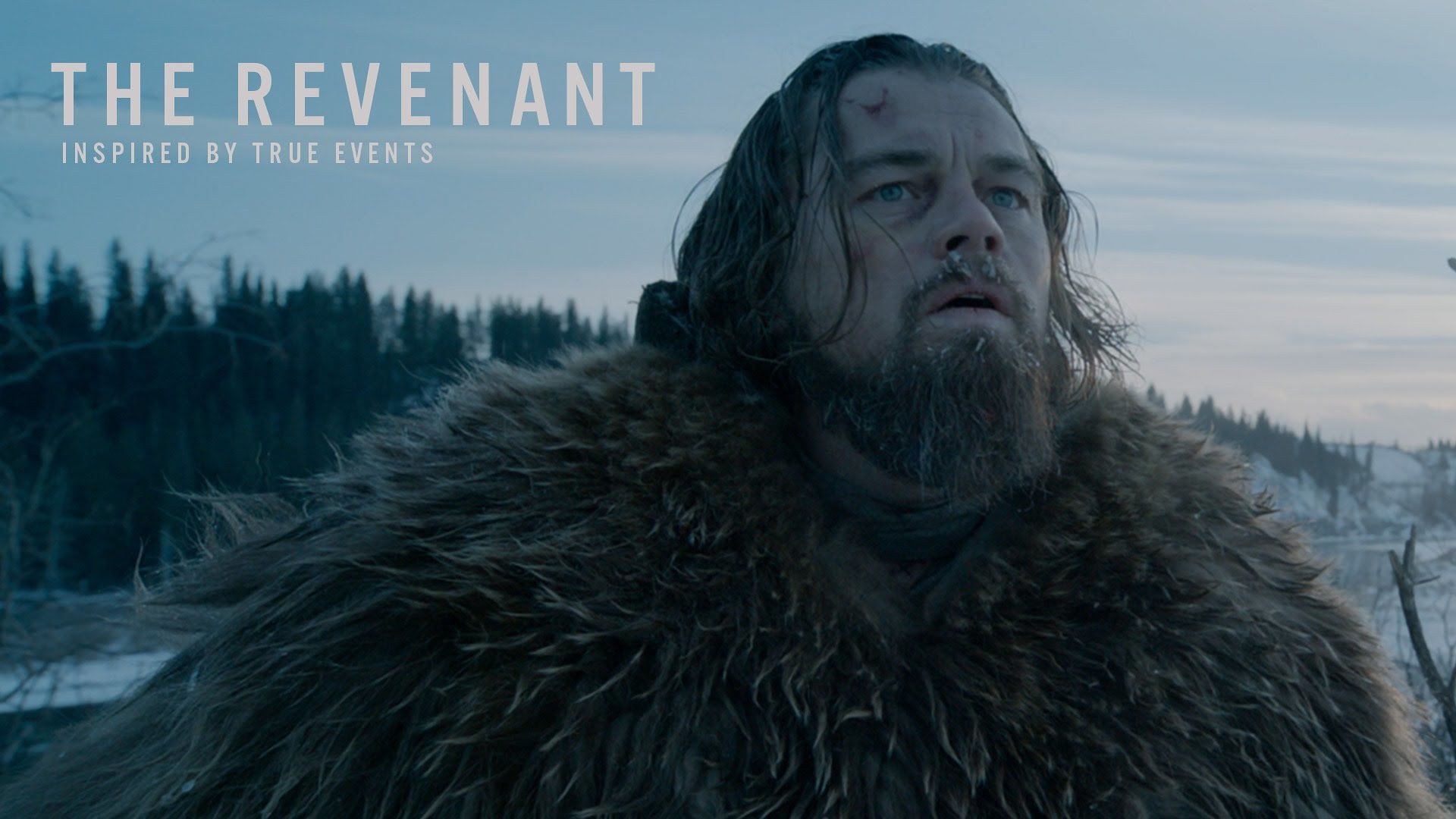 The Revenant Wallpapers