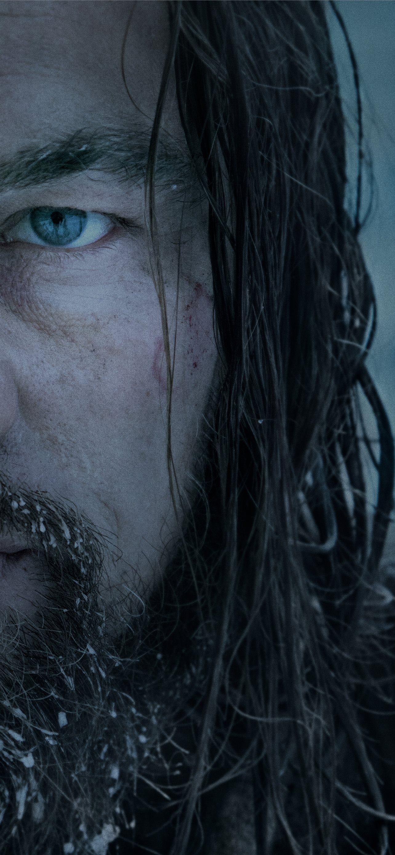 The Revenant Wallpapers