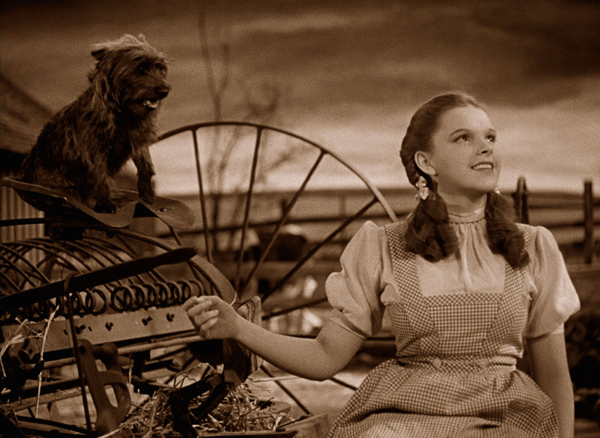 The Wizard Of Oz (1939) Wallpapers