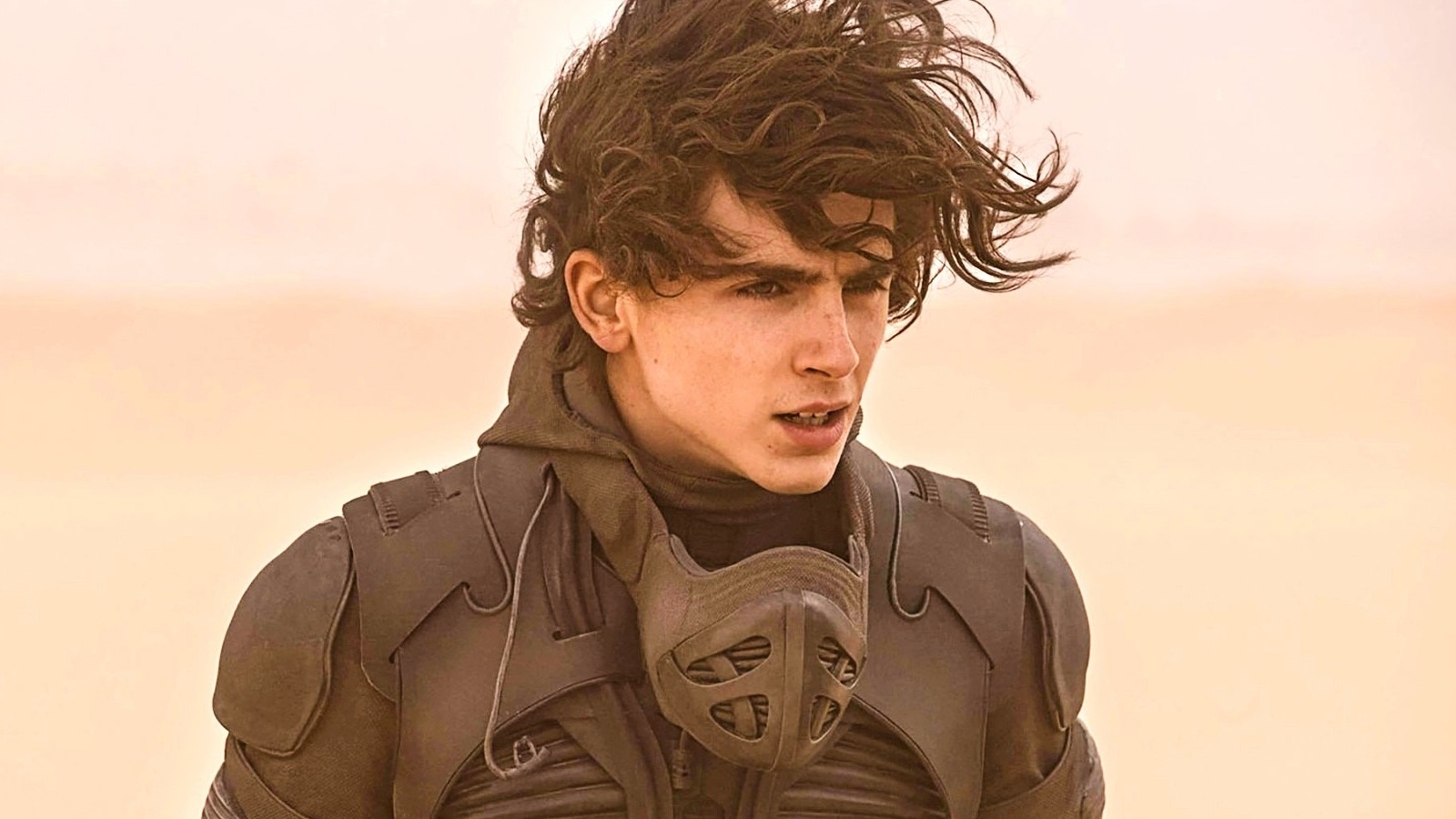 TimotheE Chalamet Hd Dune Movie Wallpapers