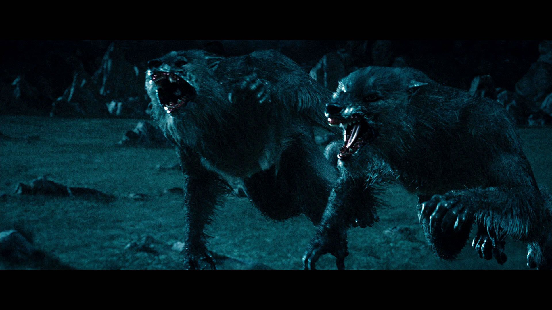 Underworld: Rise Of The Lycans Wallpapers