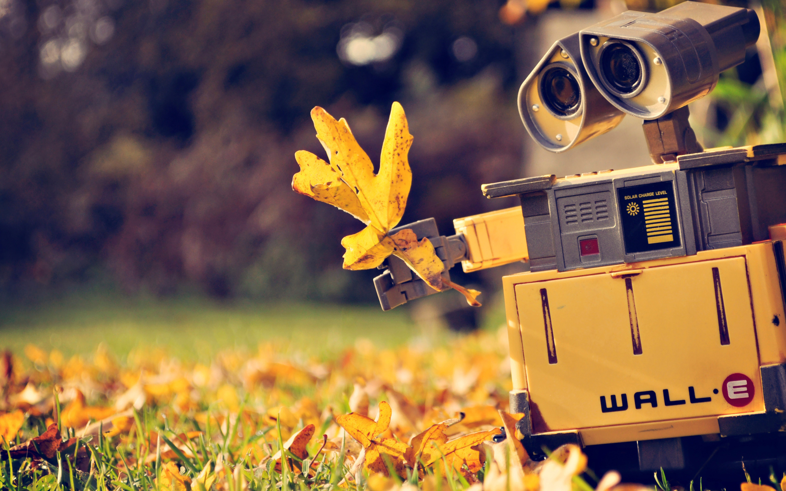 Wall E And Eve Wallpapers