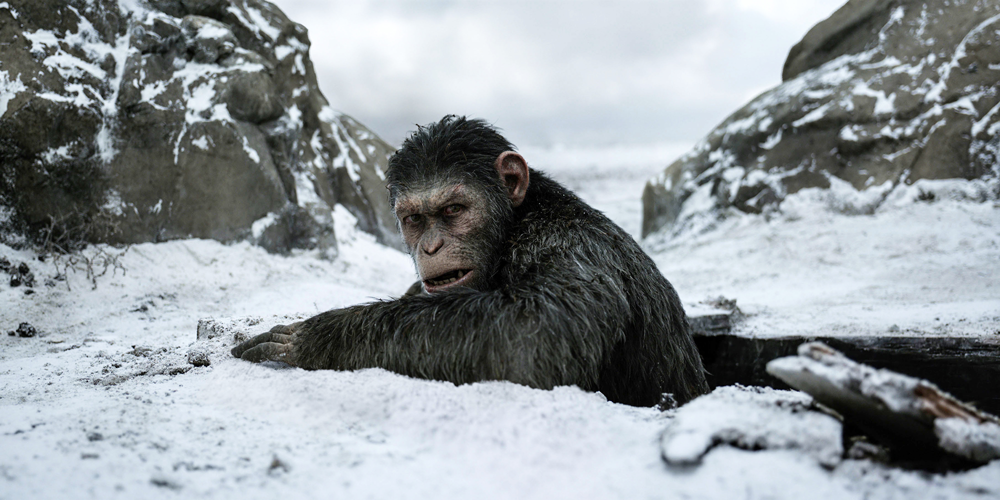 War For The Planet Of The Apes Wallpapers