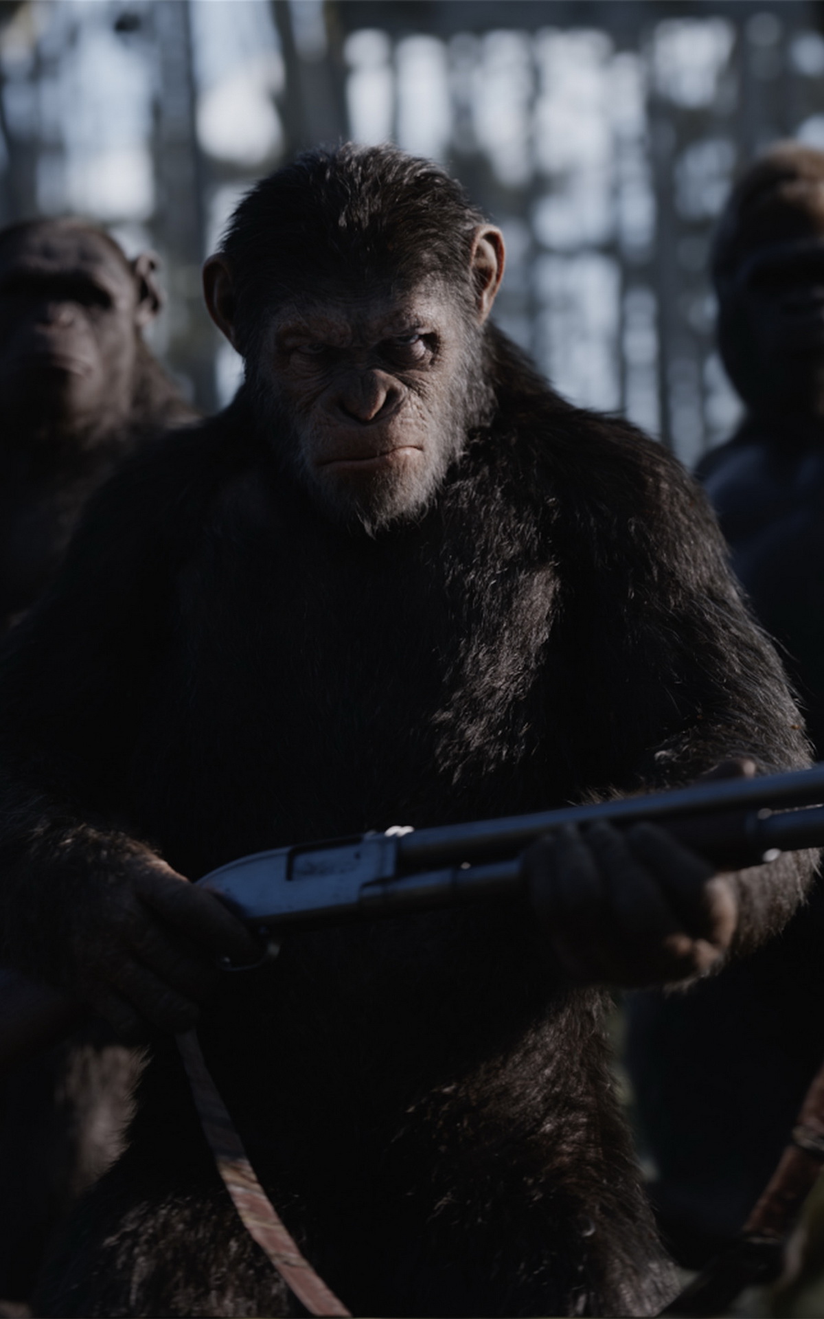 War For The Planet Of The Apes Movie Still Wallpapers