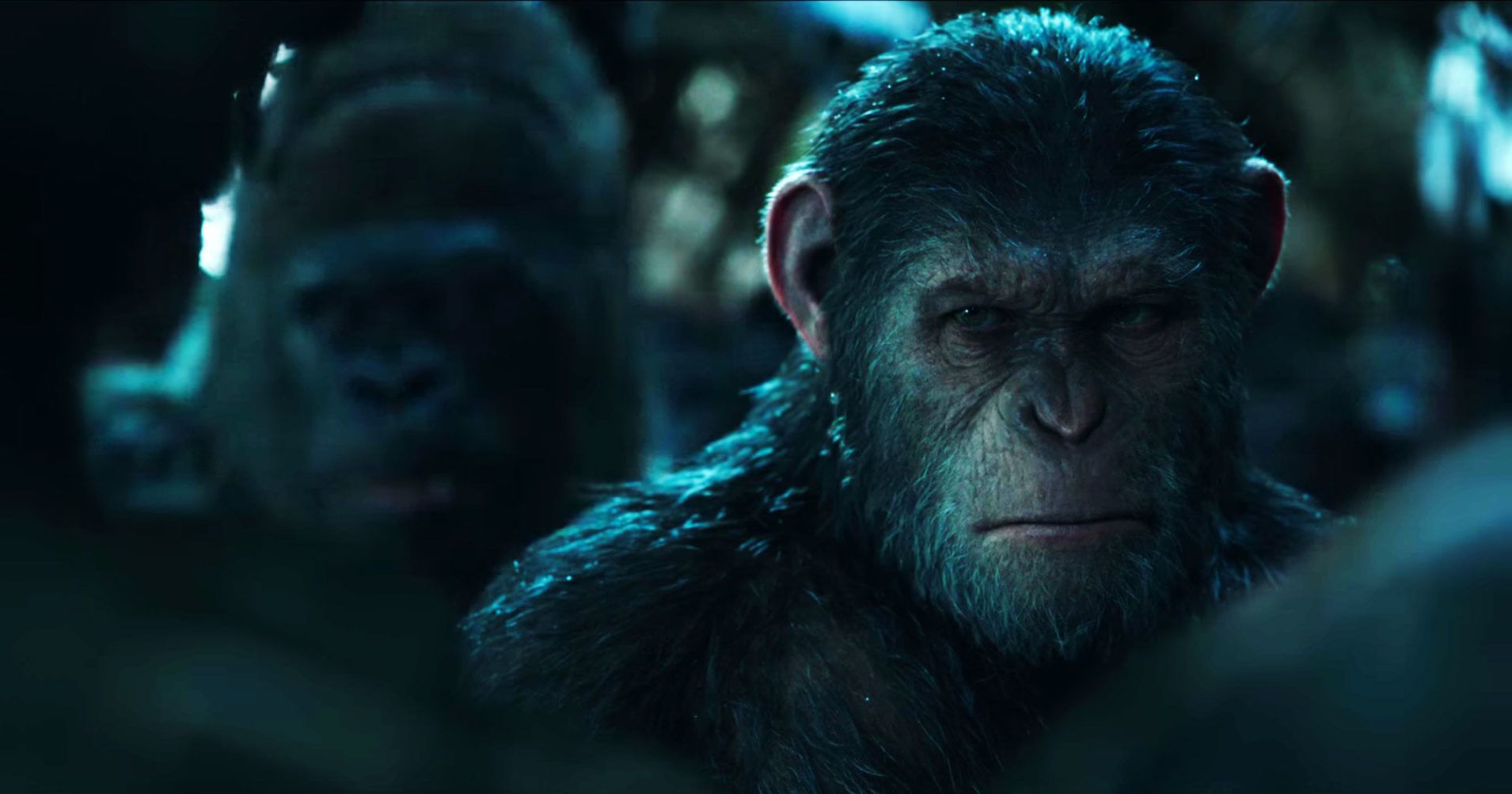 War For The Planet Of The Apes Movie Still Wallpapers