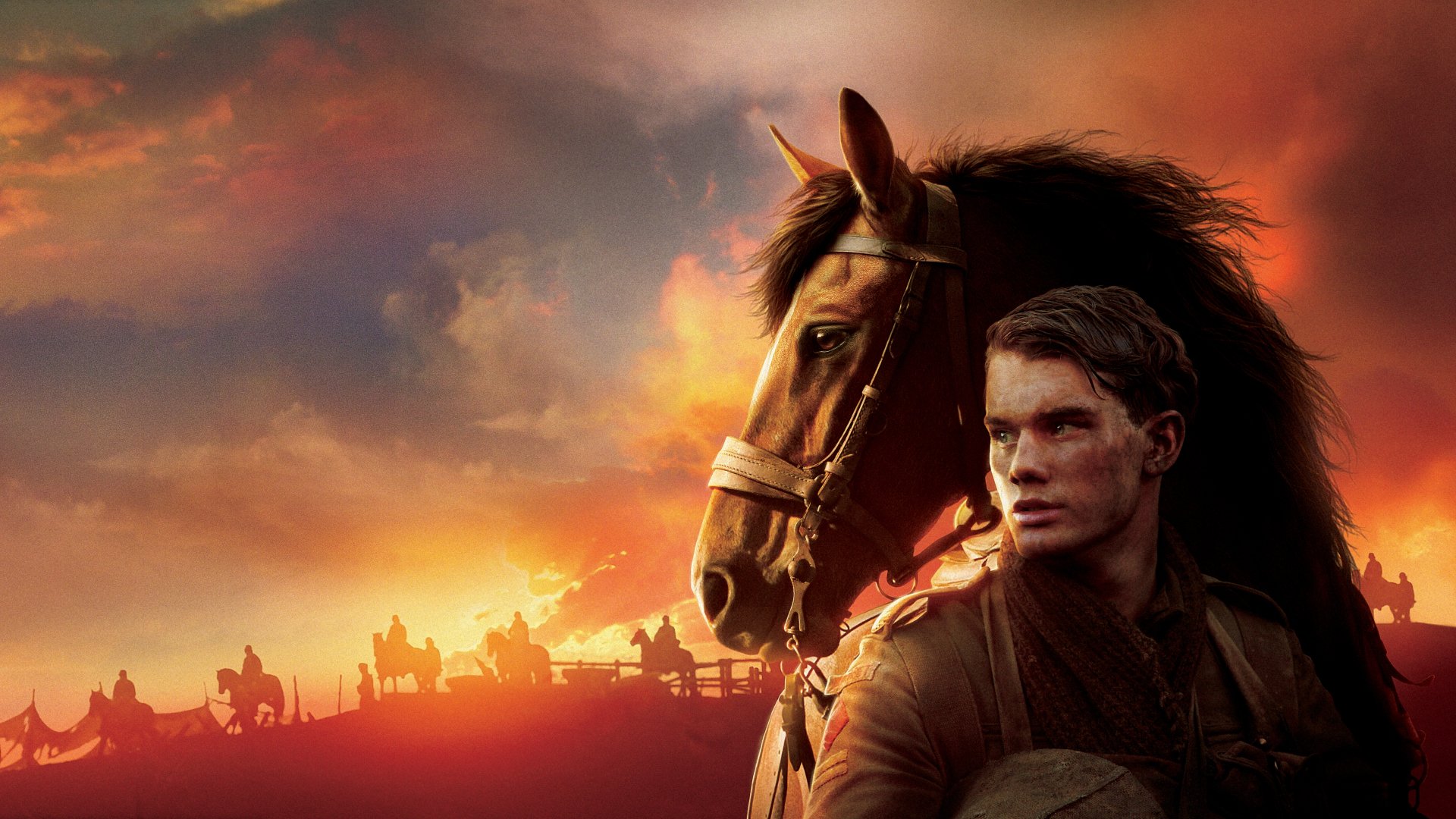 War Horse Wallpapers