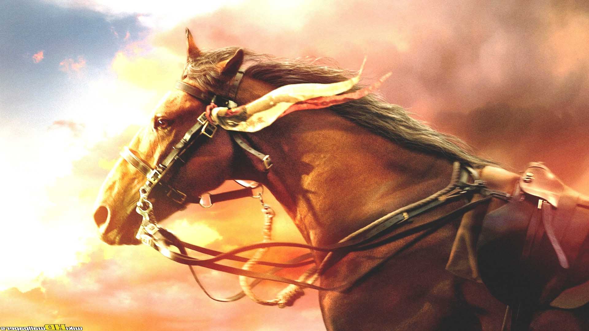 War Horse Wallpapers