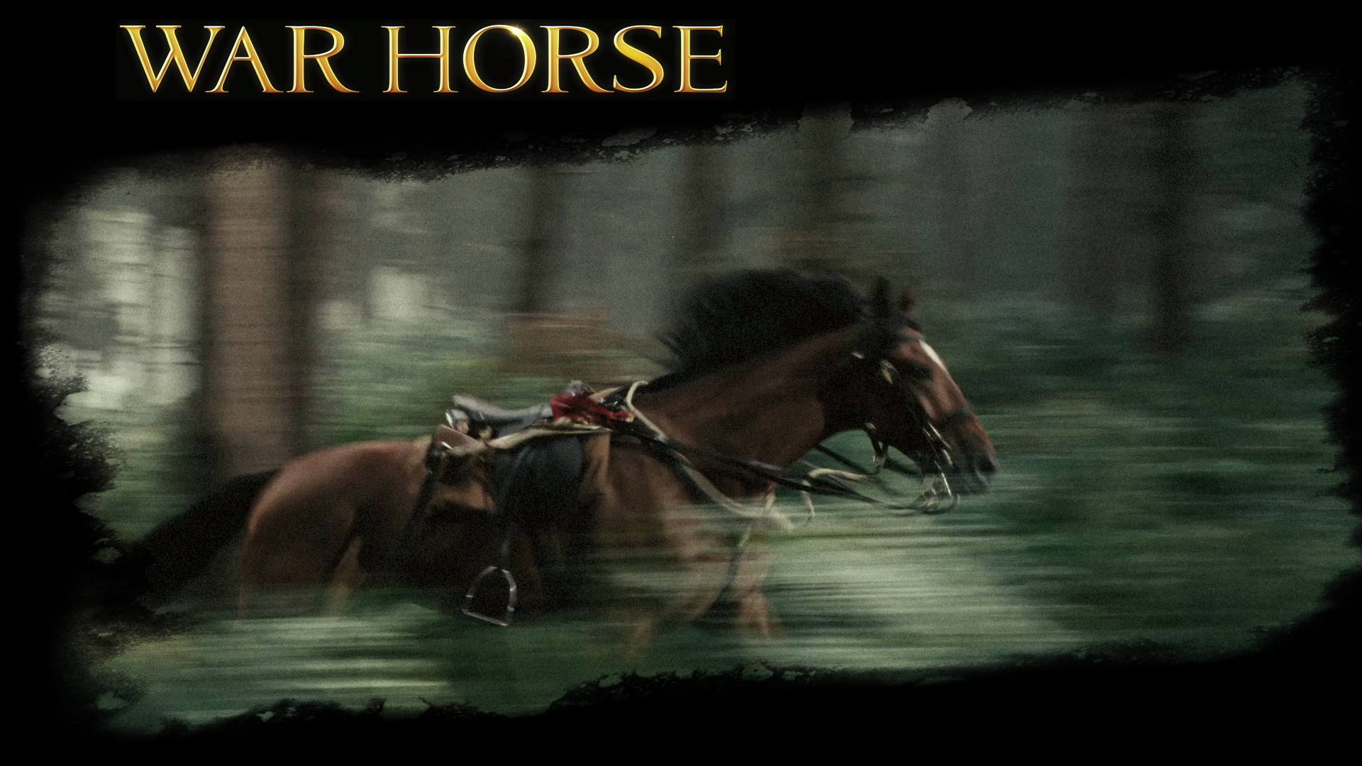 War Horse Wallpapers