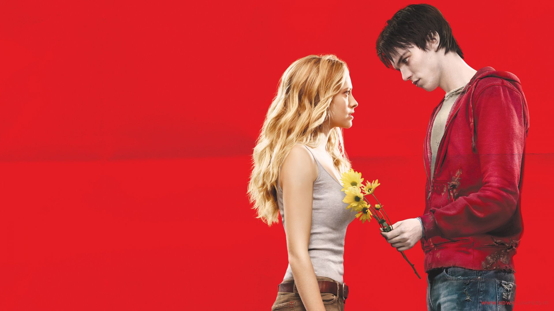 Warm Bodies Wallpapers