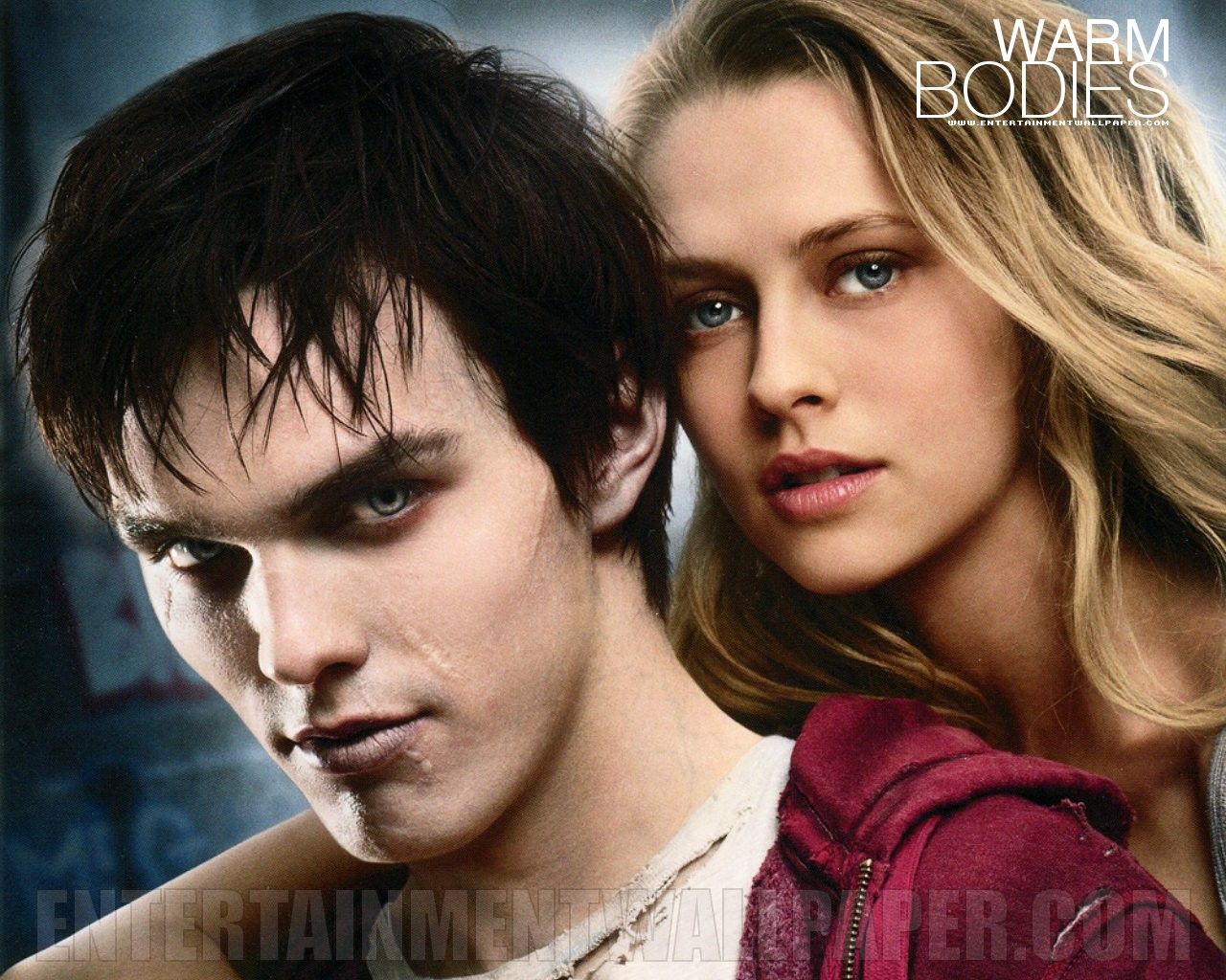 Warm Bodies Wallpapers