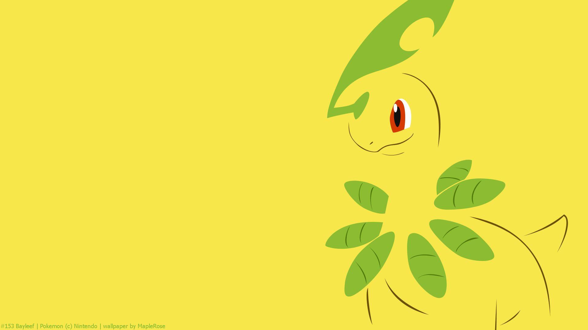 Bayleef Hd Wallpapers