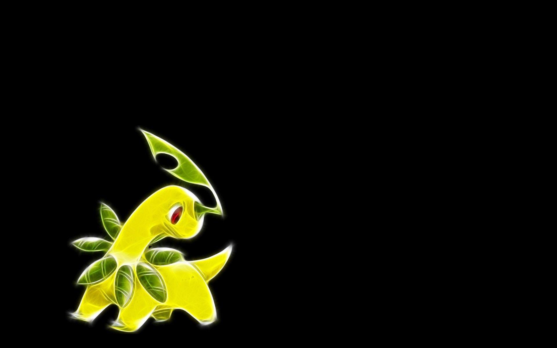 Bayleef Hd Wallpapers