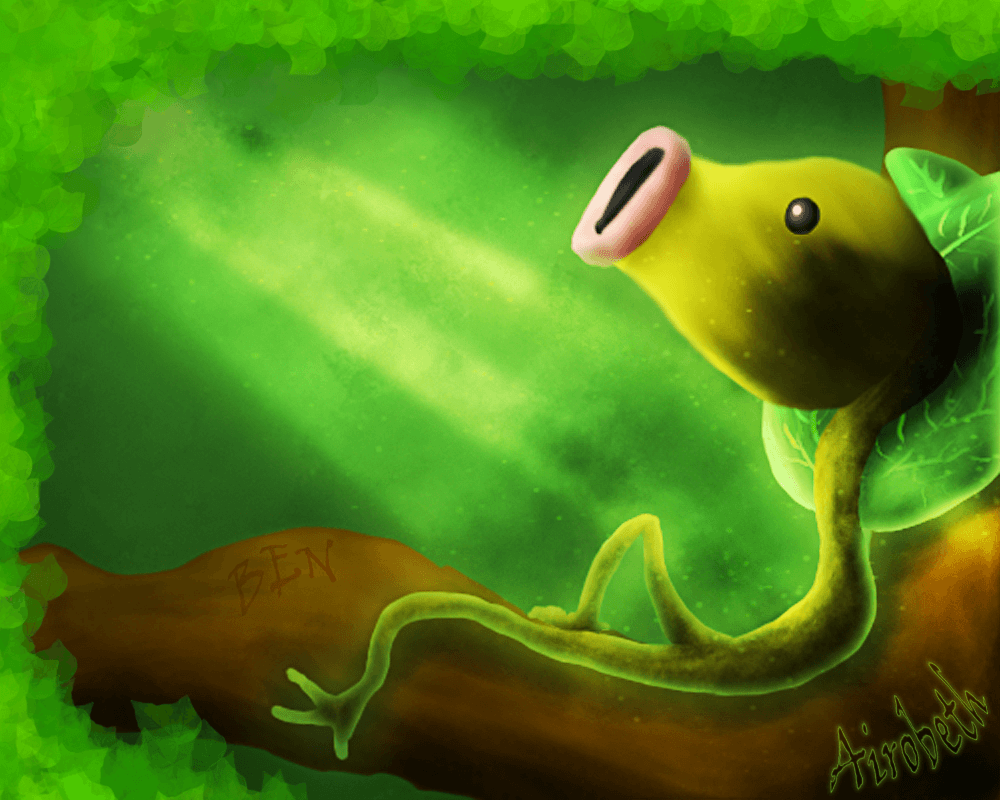 Bellsprout Hd Wallpapers