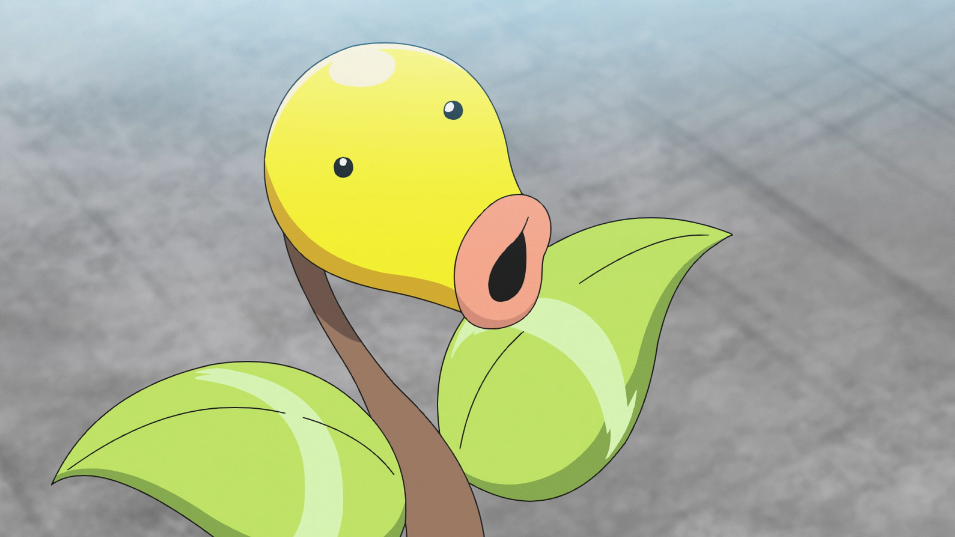 Bellsprout Hd Wallpapers