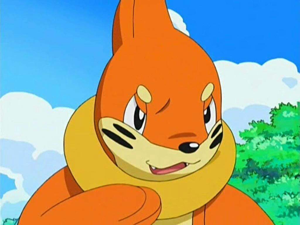 Buizel Hd Wallpapers