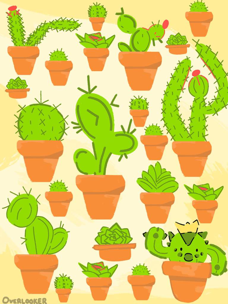 Cacnea Hd Wallpapers