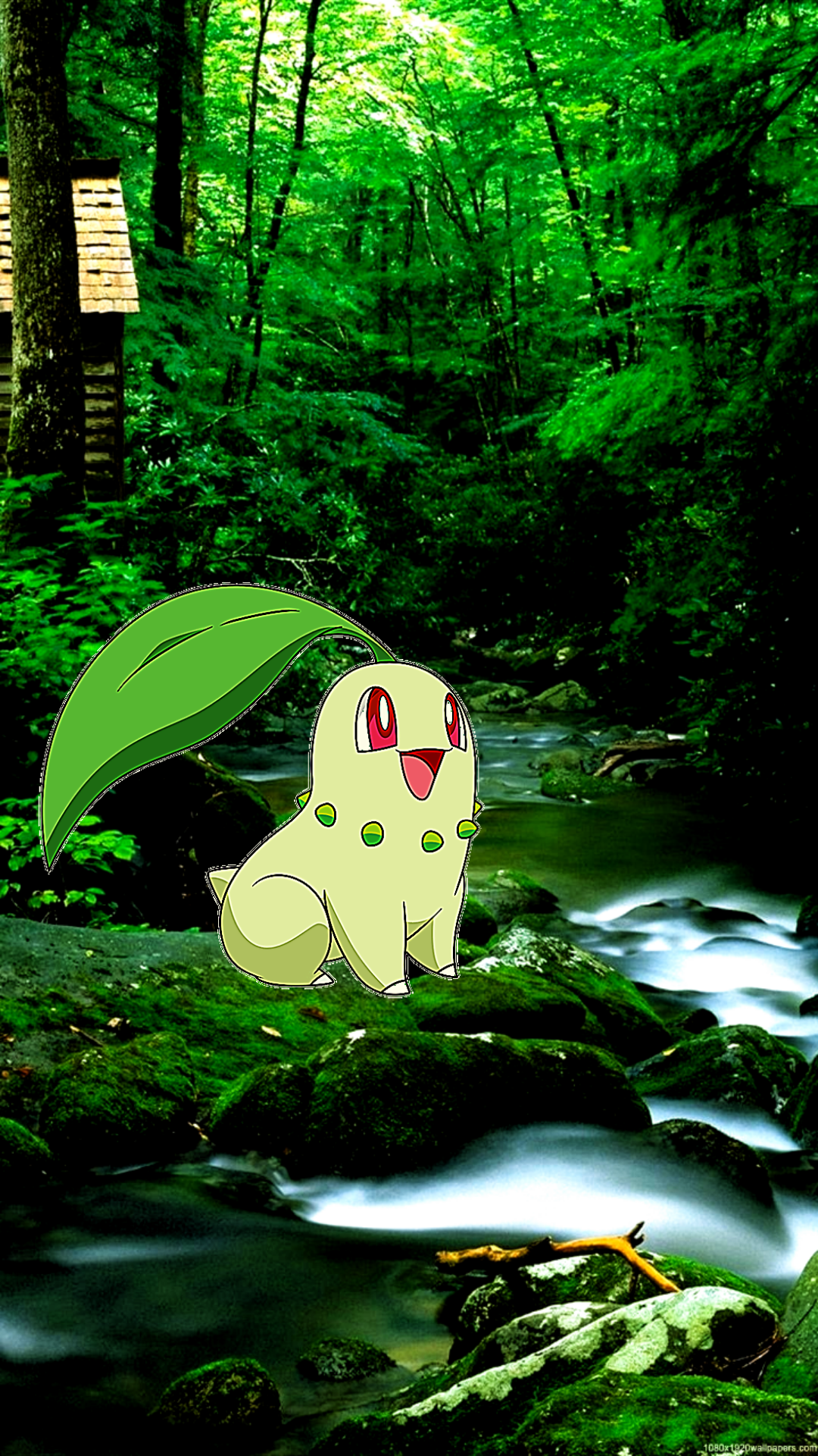 Chikorita Hd Wallpapers