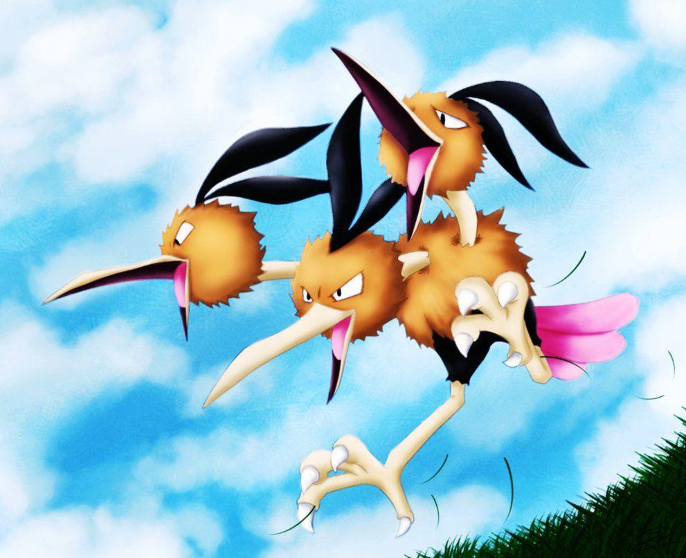 Dodrio Hd Wallpapers