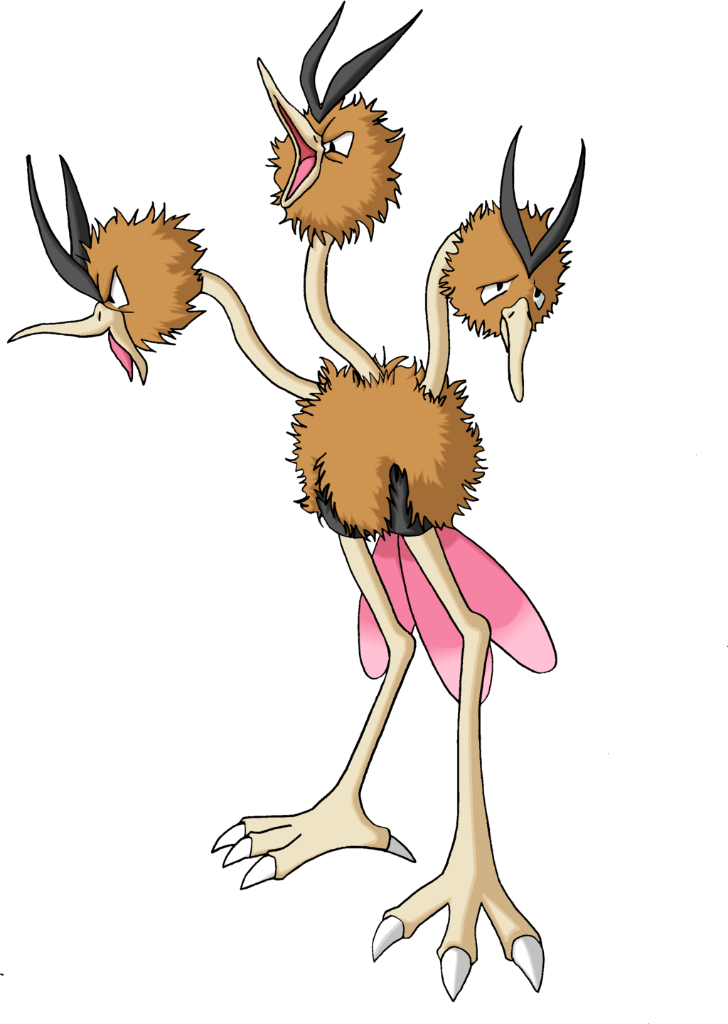 Dodrio Hd Wallpapers