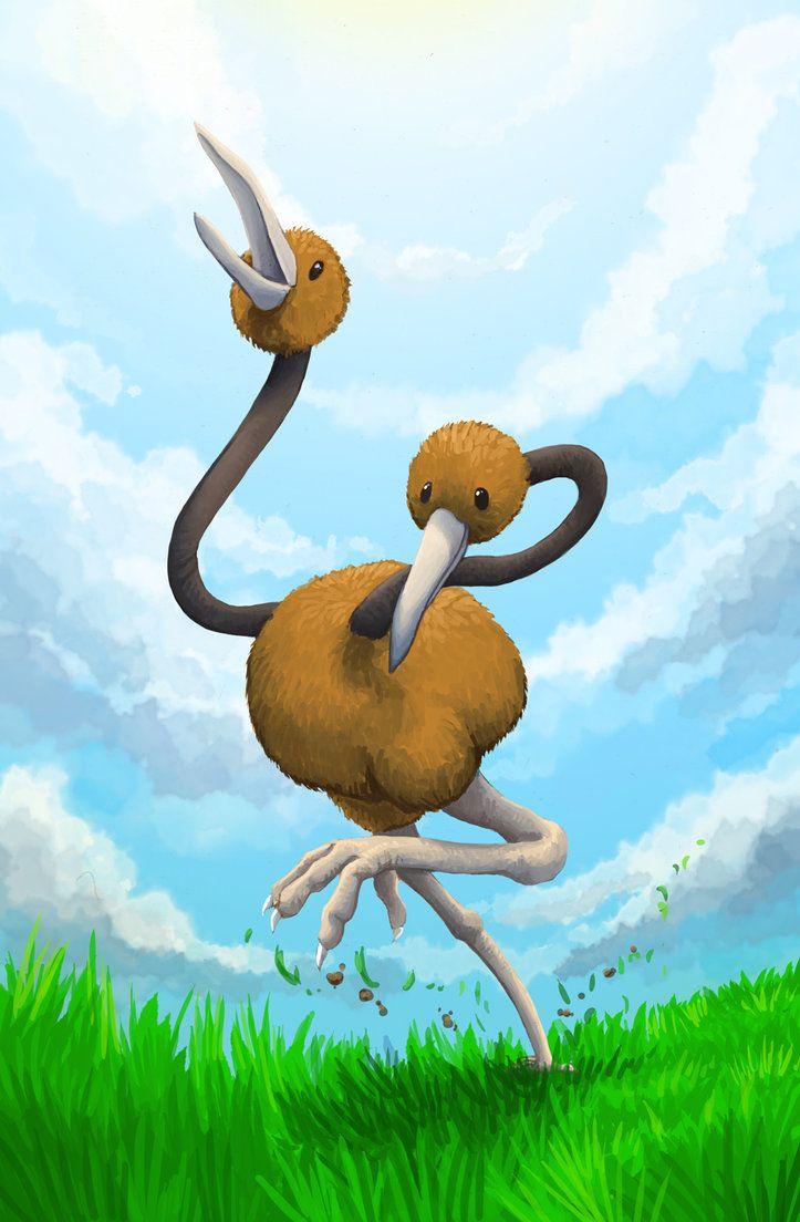 Dodrio Hd Wallpapers