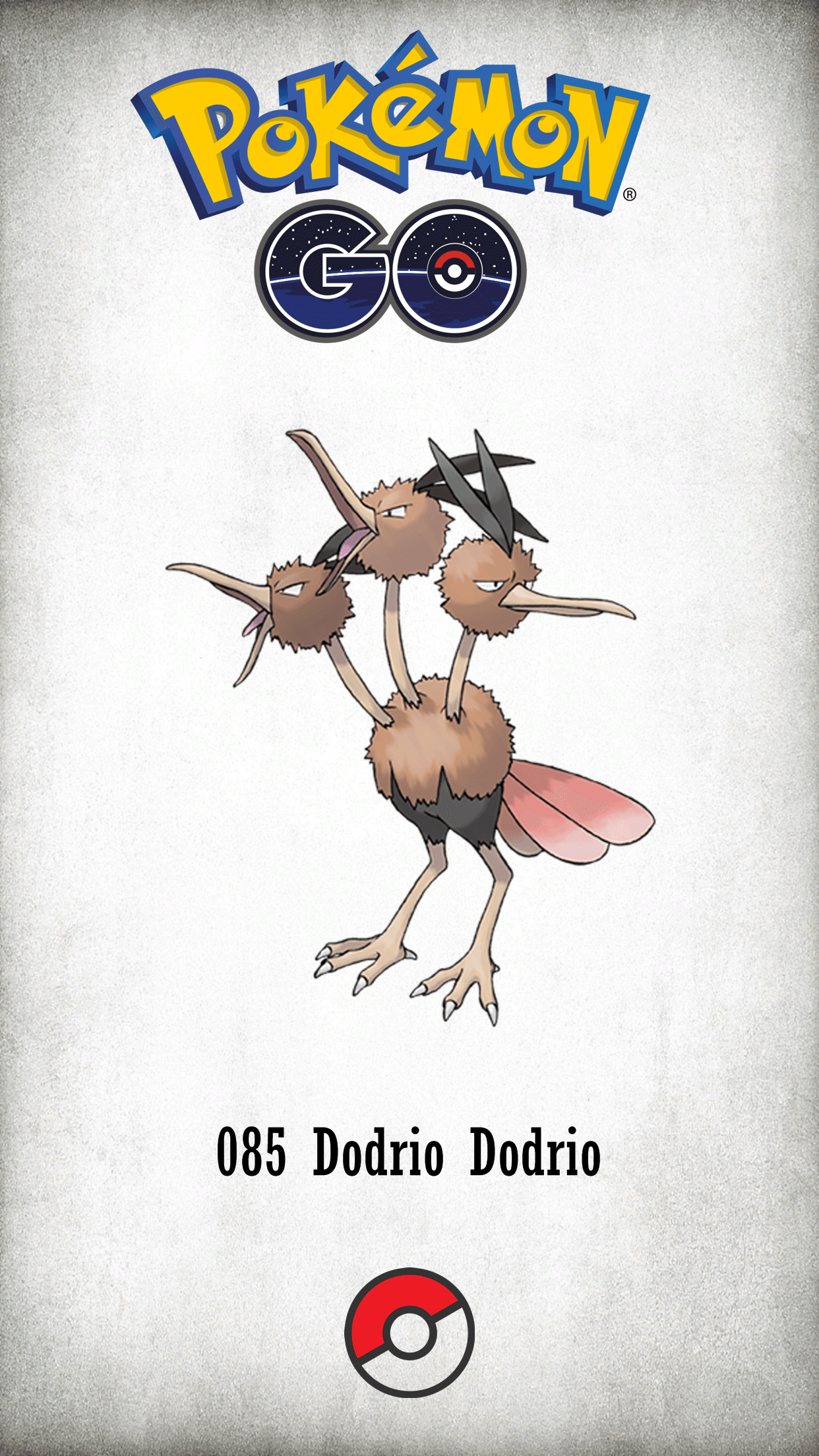 Dodrio Hd Wallpapers