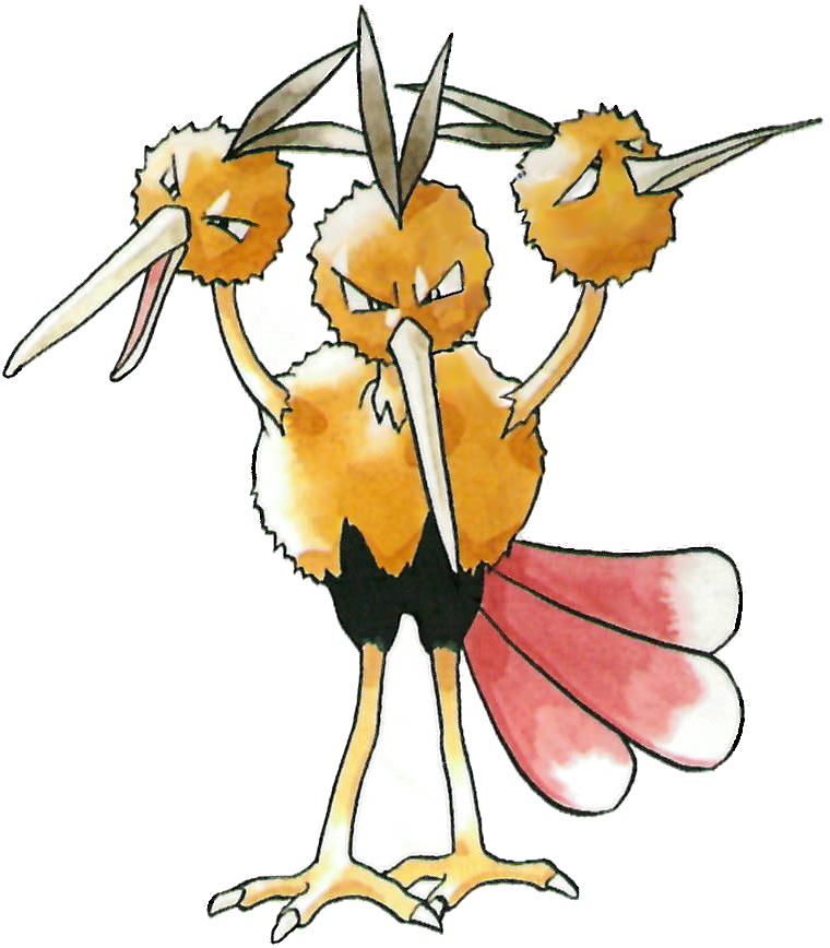 Dodrio Hd Wallpapers