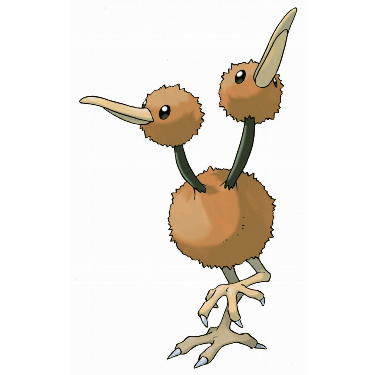 Dodrio Hd Wallpapers