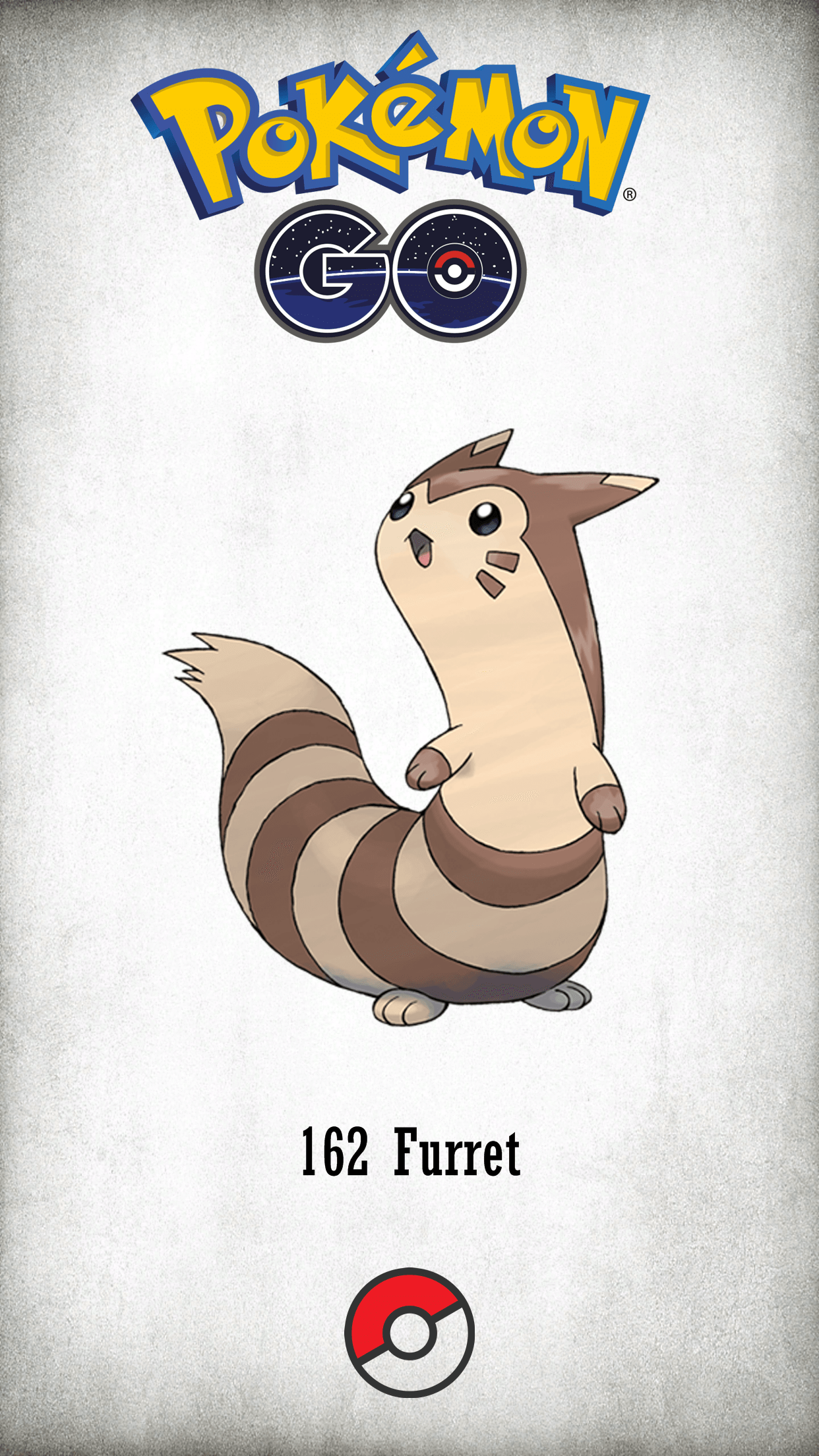 Furret Hd Wallpapers