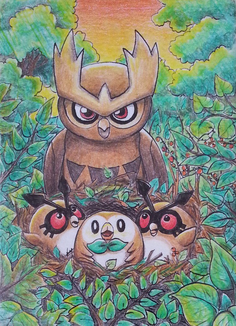 Hoothoot Hd Wallpapers