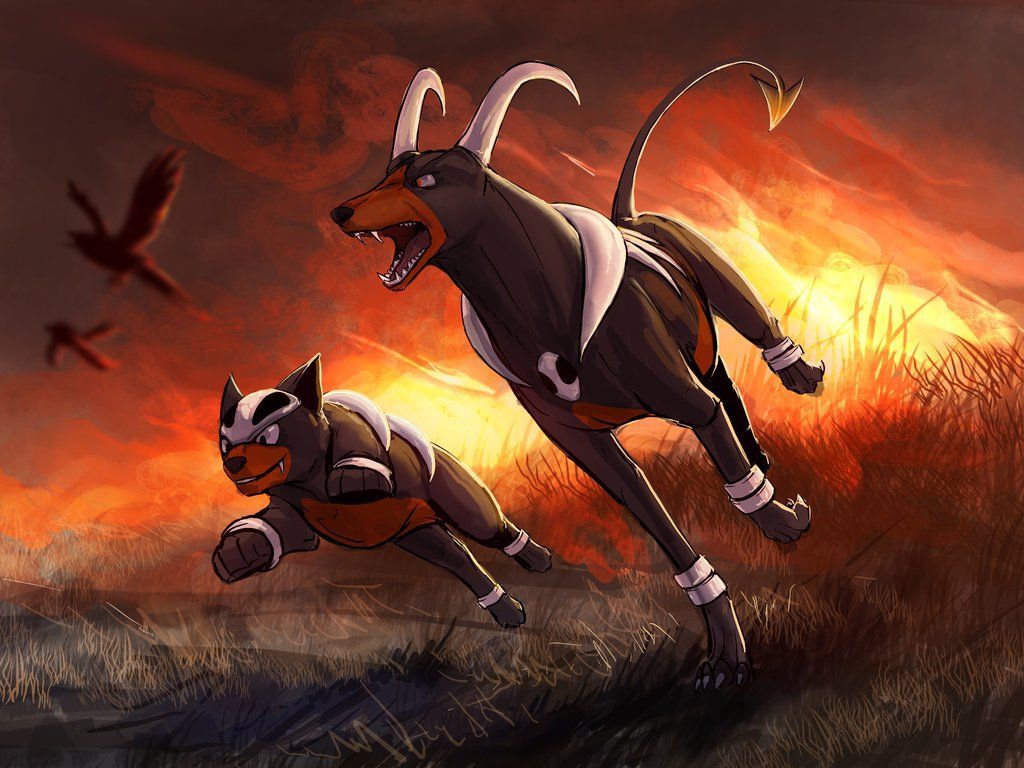 Houndoom Hd Wallpapers