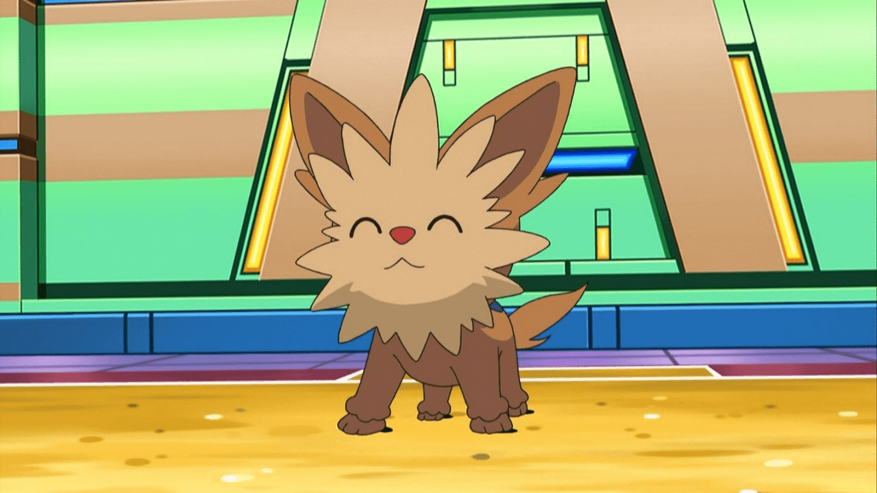 Lillipup Hd Wallpapers