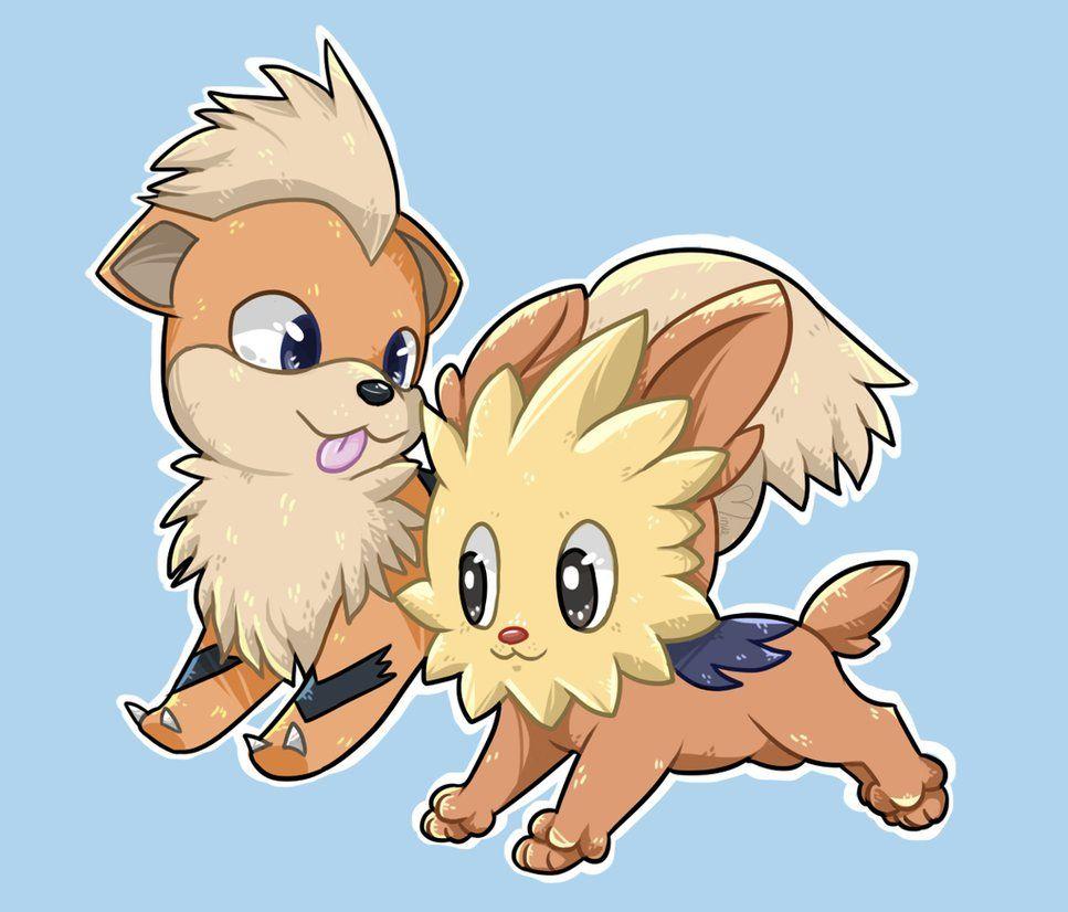 Lillipup Hd Wallpapers