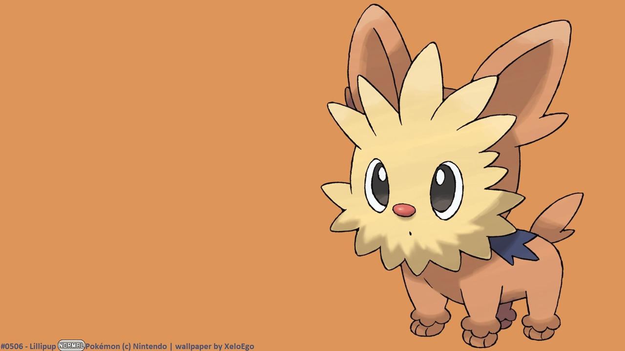 Lillipup Hd Wallpapers