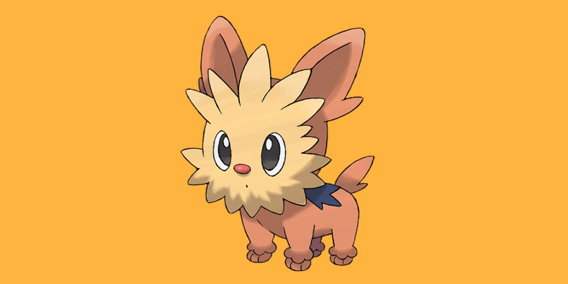 Lillipup Hd Wallpapers