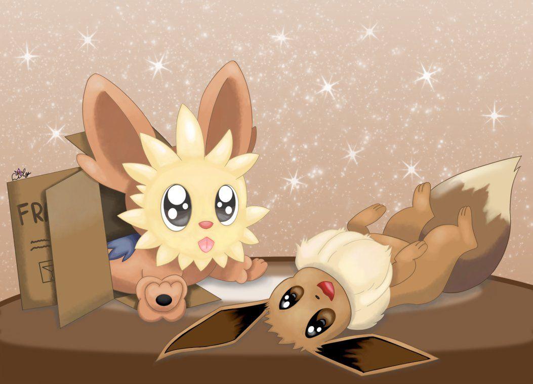 Lillipup Hd Wallpapers