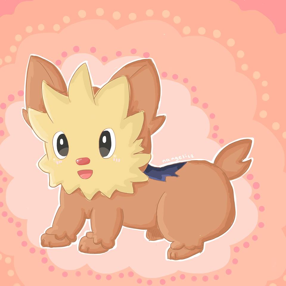 Lillipup Hd Wallpapers