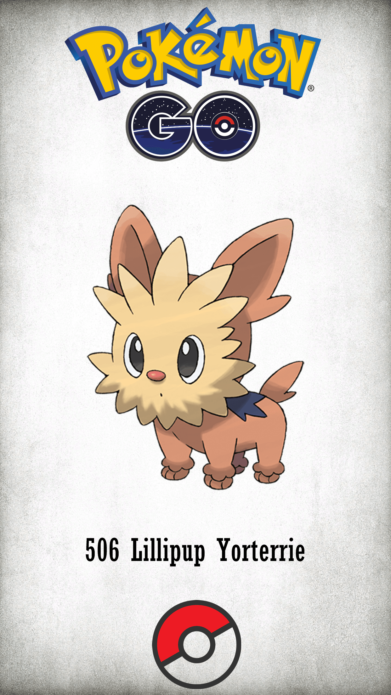 Lillipup Hd Wallpapers