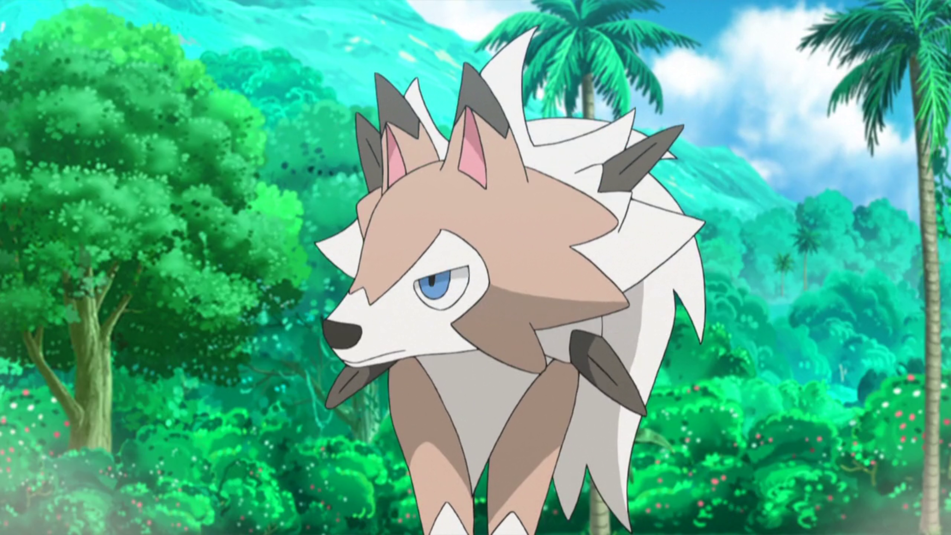 Lycanroc Hd Wallpapers