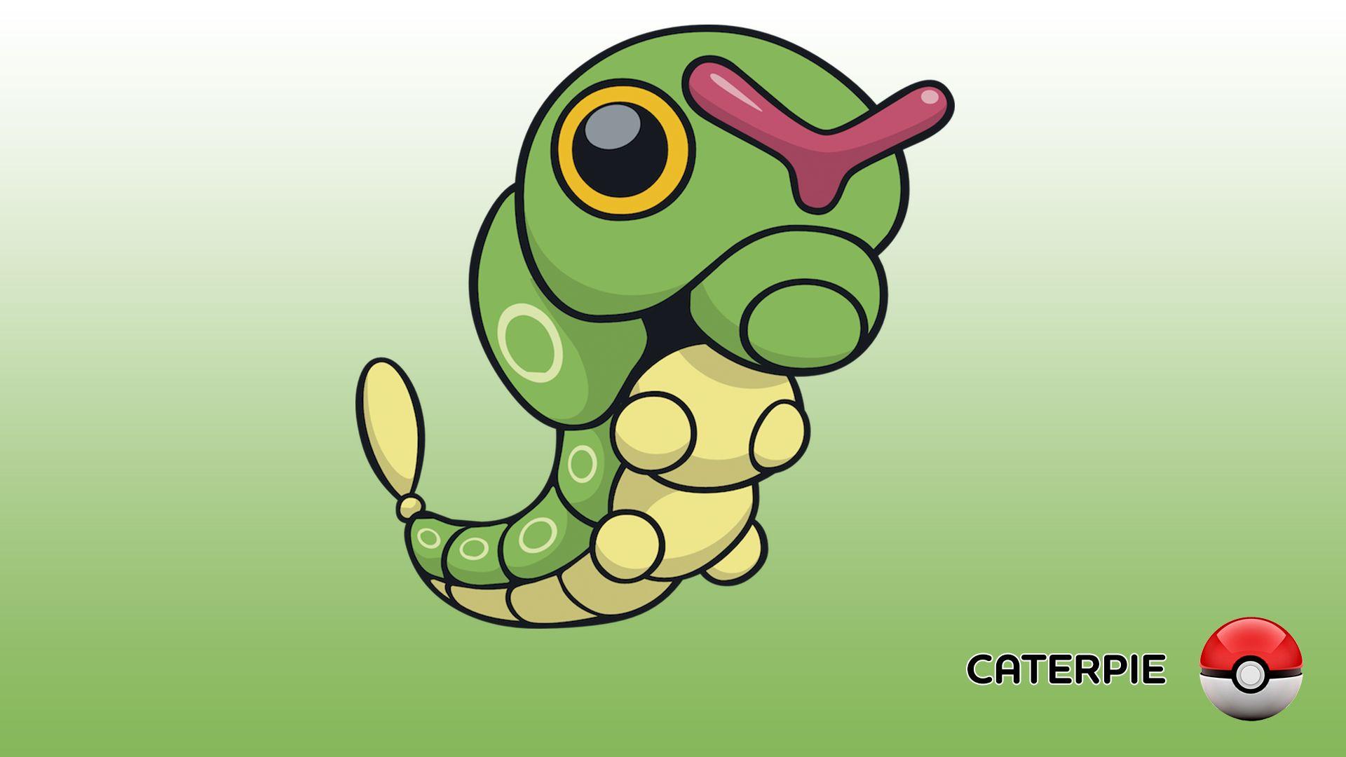 Metapod Hd Wallpapers