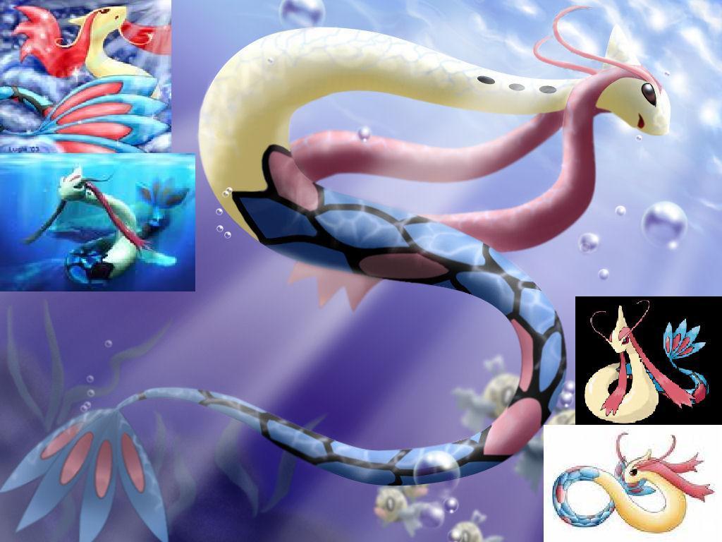 Milotic Hd Wallpapers