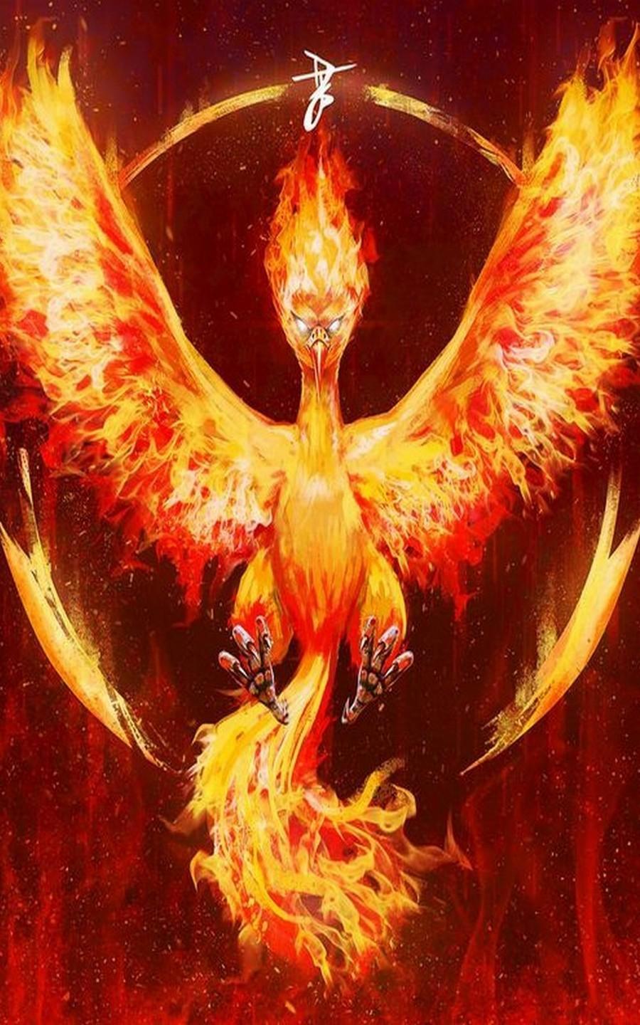 Moltres Hd Wallpapers