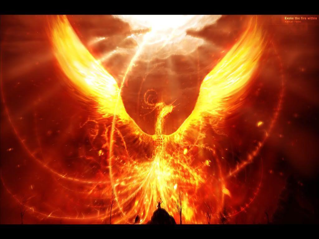 Moltres Hd Wallpapers